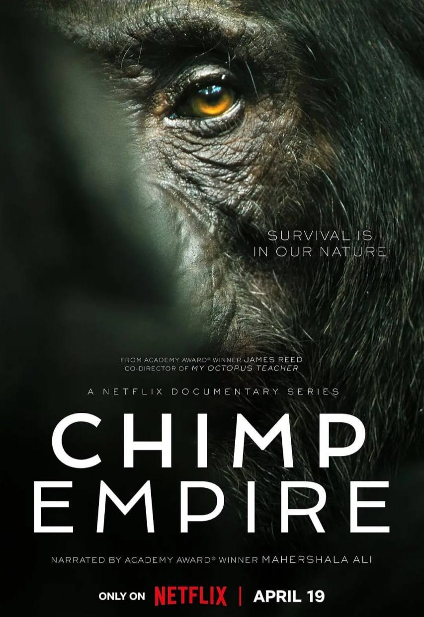 黑猩猩帝国 Chimp Empire (2023) HDR 4集全 英国 纪录片  10.52G